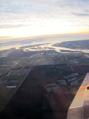 Celebration: New views There's a Book for That