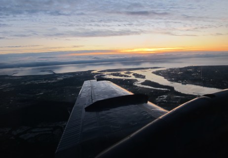 Celebration: New views There's a Book for That