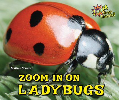 Zoom in on Insects Read Alones: Fantastic nonfiction picture books for primary students