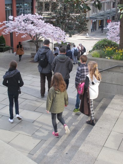 Celebration: Spring Break There's a Book for That