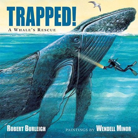 Trapped! A Whale's Rescue Monday May 4th, 2015 #IMWAYR There's a Book for That