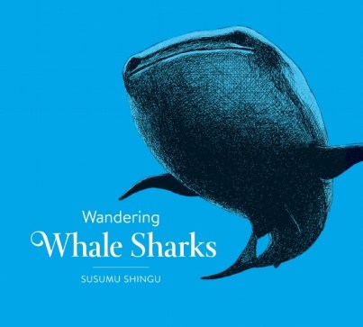 Wandering Whale Sharks  Monday April 20th, 2015 #IMWAYR There's a Book for That