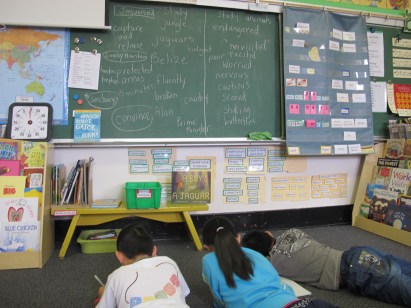  Reading and responding:  A Boy and a Jaguar  There's a Book for That