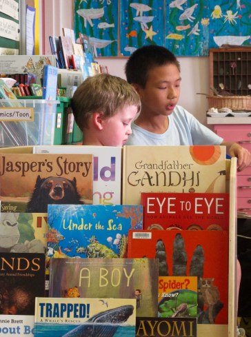 How to organize a classroom library: 20 points to consider There's a Book for That