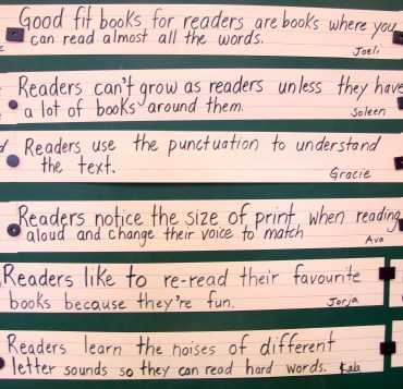 Celebration: Talking classroom libraries Thee's a Book for That