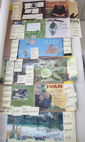 A Year of Nonfiction Picture Books Revisited There's a Book for That