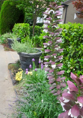 Celebration: A summer pace