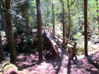 Celebration: Wandering, Wondering, Watching There's a Book for That