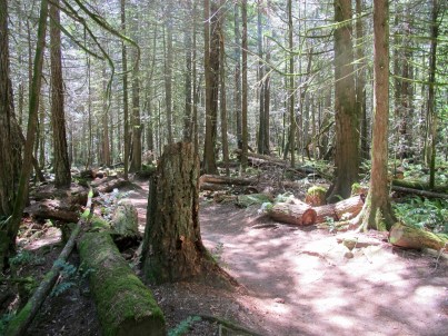 Nonfiction Picture Book Wednesday: Natural Mysteries, Solved