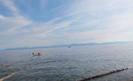  I wanted to see a whale There's a Book for That