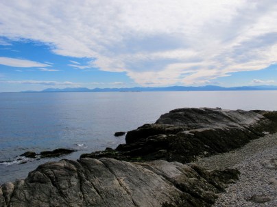 Celebration: Wandering, Wondering, Watching There's a Book for That