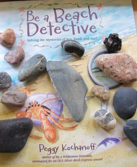  Be a Beach Detective NFPB Wednesday