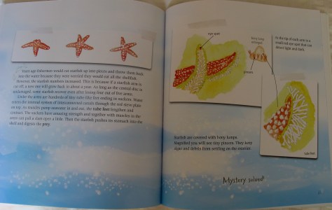 Nonfiction Picture Book Wednesday: Natural Mysteries, Solved