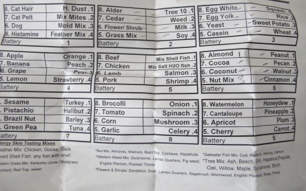 Celebration: Champagne, Orangina and ice cream floats