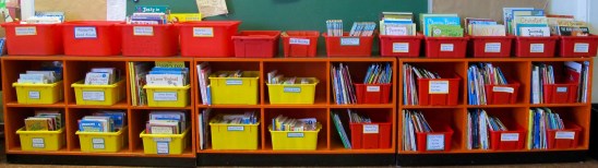 How to organize a classroom library: 20 points to consider There's a Book for That