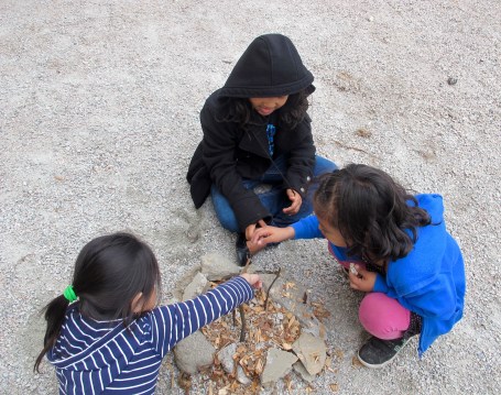 Celebration: Little Sparks There is a Book for That