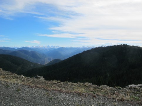 Celebration: Tall trees, Big rocks, Fresh air There's a Book for That