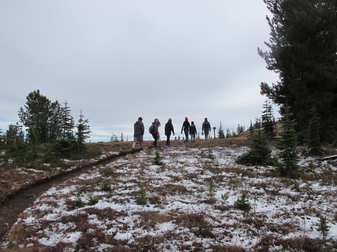 Celebration: Tall trees, Big rocks, Fresh air There's a Book for That