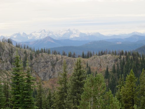 Celebration: Tall trees, Big rocks, Fresh air There's a Book for That