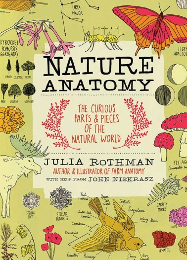 Nature Anatomy Nonfiction Picture Book Wednesday: Nature, oh wow.