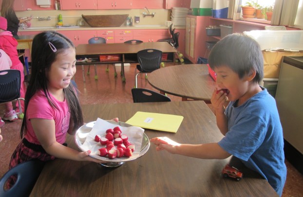 Sunday Reflections: There's a Book for That