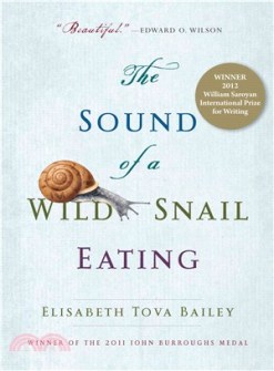 the-sound-of-a-wild-snail-eating