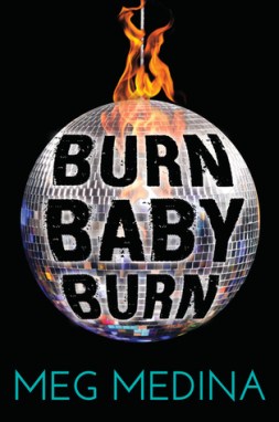 Burn Baby Burn Must read novels for 2016