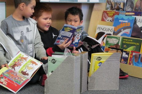 Celebration: The moments There's a Book for That