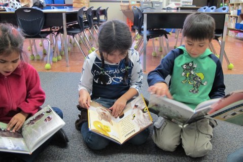 Nonfiction Picture Book Wednesday: the nonfiction effect