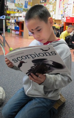 Nonfiction Picture Book Wednesday: the nonfiction effect