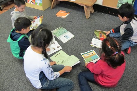 Nonfiction Picture Book Wednesday: the nonfiction effect