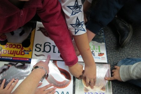 Nonfiction Picture Book Wednesday: the nonfiction effect