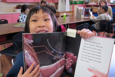 The nonfiction effect