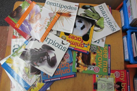 The nonfiction effect