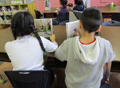 The nonfiction effect