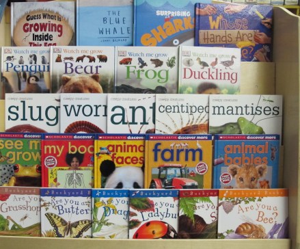 Nonfiction Picture Book Wednesday: the nonfiction effect