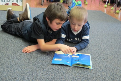 Celebration: Afternoons