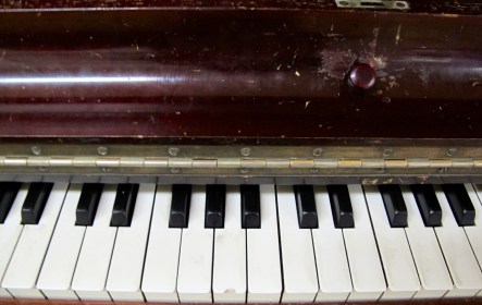 Celebration: Writing