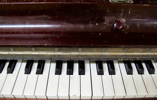 The Kid on the Piano: Slice of Life There's a Book for That