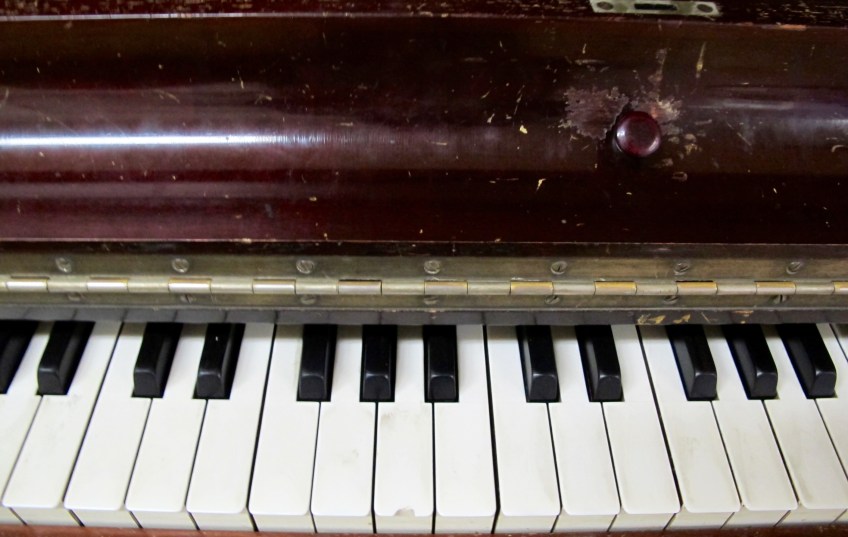 The Kid on the Piano: Slice of Life There's a Book for That