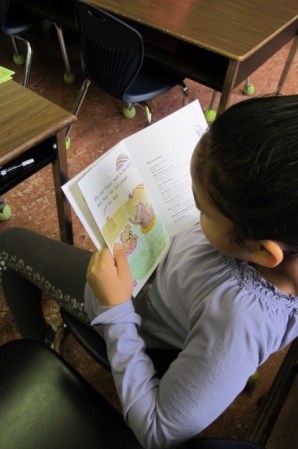 Celebration: Now Here There's a Book for That