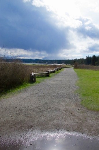  The long haul #sol16