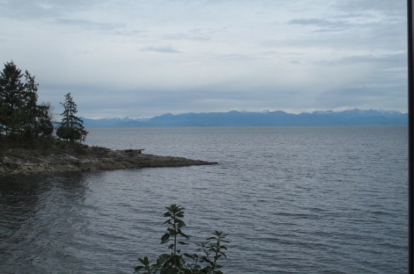  Not a day for writing #sol16