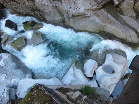  Hey Little One #sol16 There's a Book for That