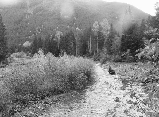 Letting go: #sol16 There's a Book for That