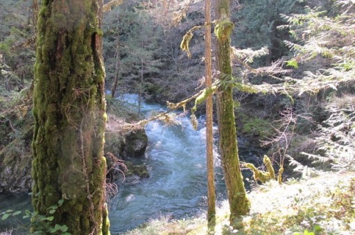 I am every age: Slice of Life