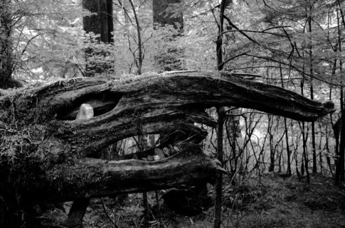 What I shouldn't say: Slice of Life #sol16 There's a Book for That