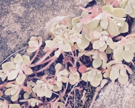 Celebration: Worries There's a Book for That