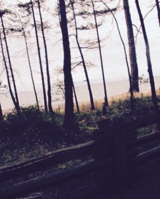 Celebration: Writing