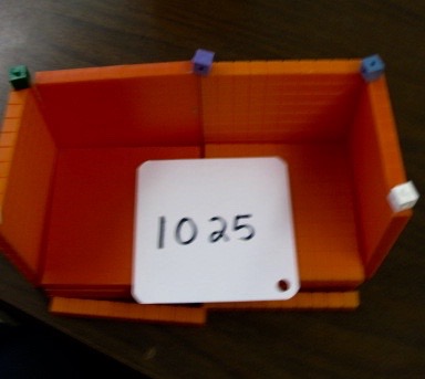 Celebration: Week One in The Land of New